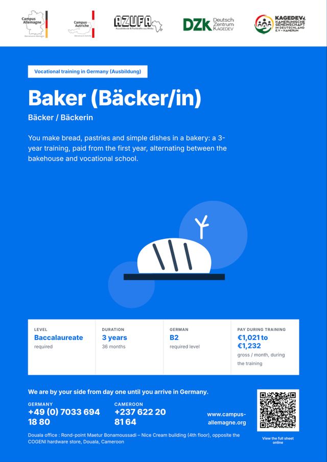 Occupation brochure