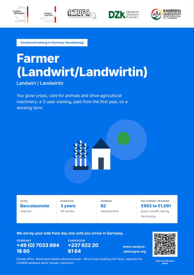 Occupation brochure