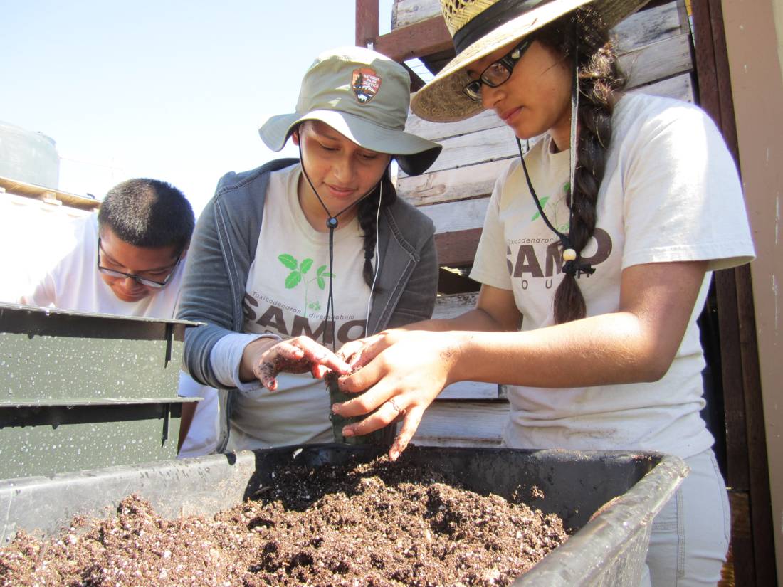 Management - Horticulture, landscaping, at work