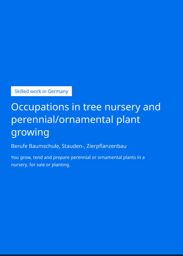 Occupation brochure