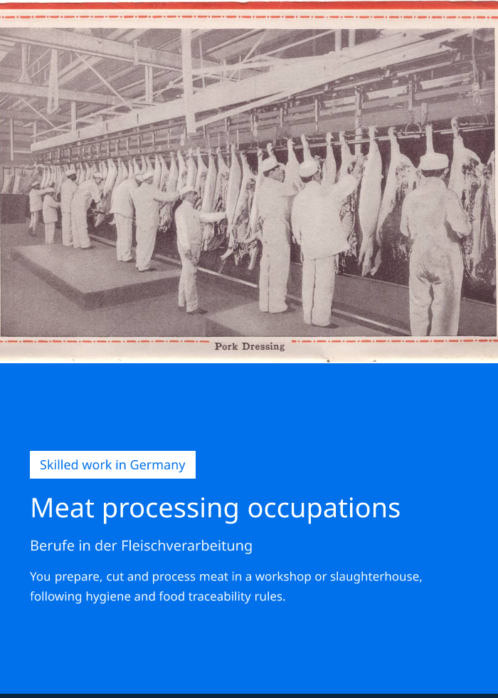 Occupation brochure