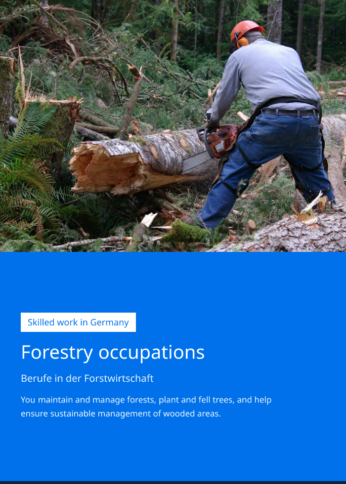 Occupation brochure