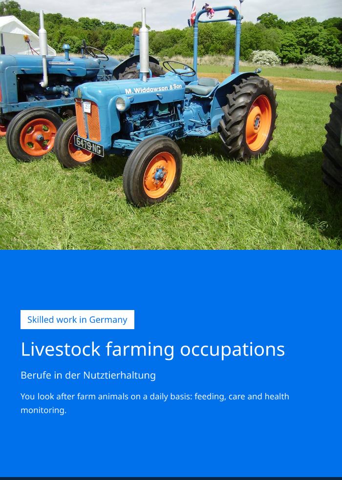 Occupation brochure